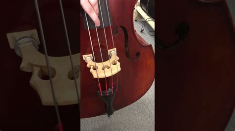eastman vb  upright bass carved top  fmi basses youtube