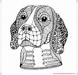 Dog Zentangle Beagle Stilizzato Testa Lo Lepre Stylized Debuda Svg Rysunek Hunde Obraz Ausmalbilder Coloreados Drawing Shutterstock sketch template