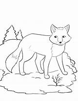 Coloring Pages Hibernation Winter Tree Mittens Getcolorings sketch template