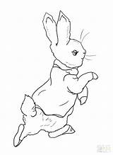 Rabbit Peter Coloring Pages Drawing Printable Mr Garden Roger Color Mcgregor Beatrix Potter Away Going Into Colour Jessica Colouring Supercoloring sketch template
