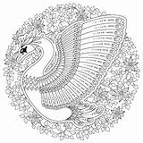 Swan Monochrome sketch template
