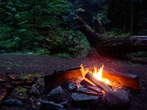fire  campfires maggie maggio
