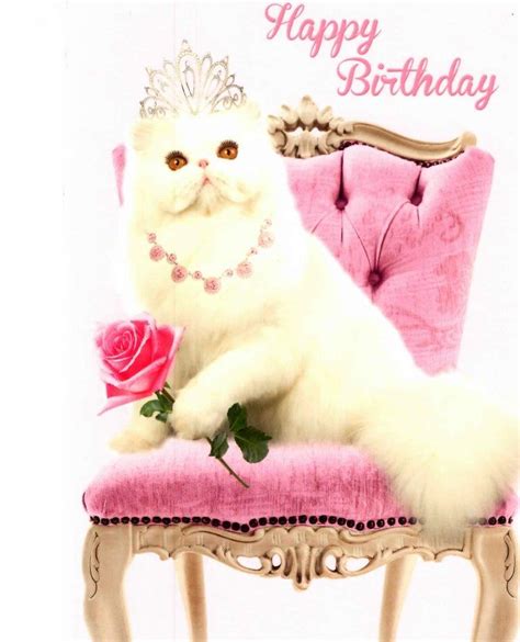 princess pussy cat happy birthday greeting card cards love kates