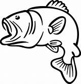 Bass Coloring Pages Fish Outline Color sketch template