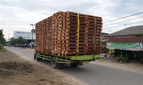 masuk  kota truk kayu palet  dimensi  kebal hukum