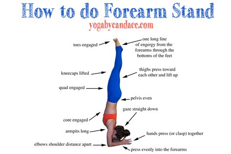 forearm stand yogabycandace