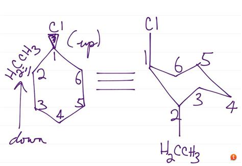 organic chemistry equivalent cyclohexane structures chemistry