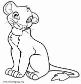 Lion Cub Simba Mewarnai Halaman Coloringhome sketch template