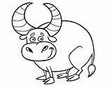 Ox Horns sketch template