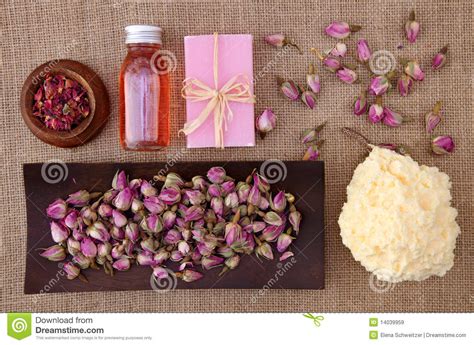rose petals spa stock image image  care plant essential