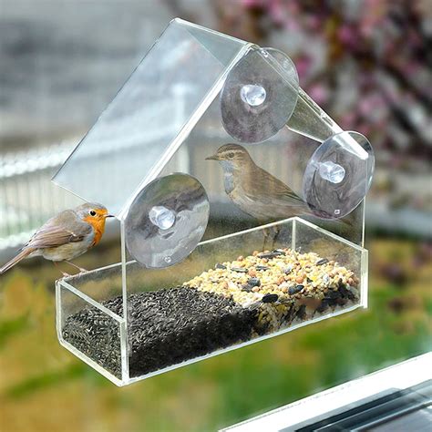 willstar bird feeder wild bird seed feeder removable window suction cups hanging clear viewing