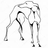 Greyhound Clipartmag sketch template