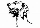 Weimaraner Clipartmag Drawing Clipart sketch template