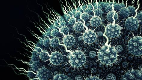 bacteria wallpapers wallpaper cave