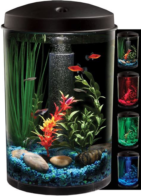 creative aquariums  modern fish tanks designs part