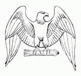 Adler Ausmalbilder Ausmalbild Eagle sketch template