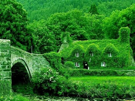 overgrown cottage middle earth pinterest