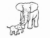 Coloring Elephant Elmer Line Cliparts Clip Clipart Library Animal Colouring Print sketch template