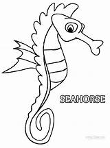 Seahorse Coloring Pages Cartoon Drawing Printable Cool2bkids Kids Paintingvalley sketch template