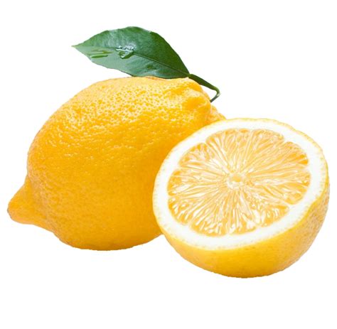 tipos de limones limon primofiori garcia aranda