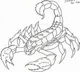 Scorpion Outline Tattoo Drawing Cat Sean Lw Coverup Lucky Getdrawings Deviantart sketch template