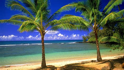 tropical paradise wallpapers hawaii maldives tahiti islands beach