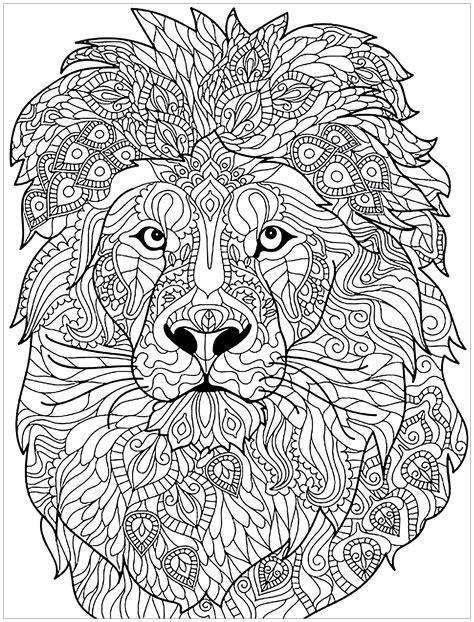 coloring page lion africa lion lions adult coloring pages simple