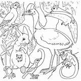 Animaux Coloriage Australie Animal Rainforest Ancenscp Comments Coloringhome sketch template