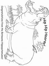 Nilpferd Ausmalbilder Hippo Harvard Ausmalbild Janbrett Whitetail Hippopotamus sketch template