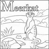 Meerkat Alphabet sketch template