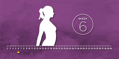 6 weeks pregnant symptoms during the 6th week of pregnancy tips and