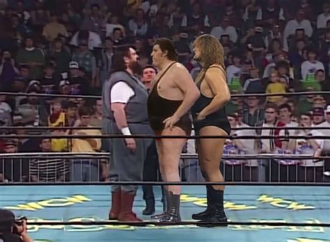 andre  giant compared  giant haystacks   big show