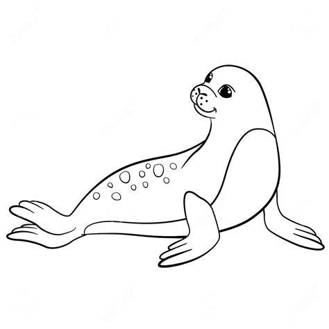 sea lions coloring pages learny kids