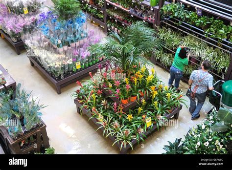 home depot store garden center display nyc stock photo alamy