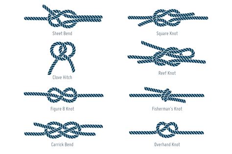 nautical rope knots pre designed illustrator graphics creative market
