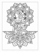 Adults Mandala Mandalas Meditative Colorir Coloriages sketch template