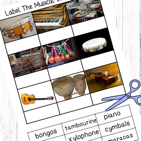 label  musical instruments teaching resources