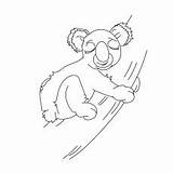Koala Coloring Pages Sleepy Momjunction Tree Ones Articles Little sketch template