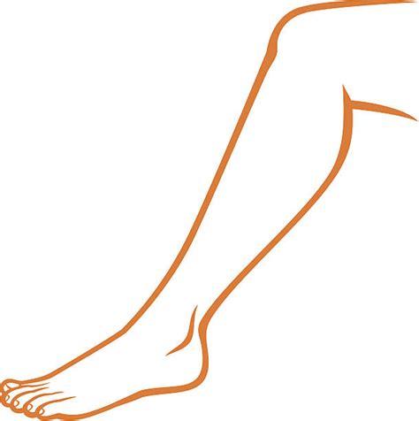 human leg clip art vector images and illustrations istock