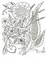 Coloring Pages Adults Adult Flowers Flower Pdf Paisley Printable Spring Color Print Abstract Kids Colouring Floral Mediterranean Easy Azcoloring Comments sketch template