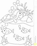 Pond Coloring Pages Habitat Animal Royalty Animals Color Printable Getcolorings Arctic Print Plants Getdrawings Colorings sketch template