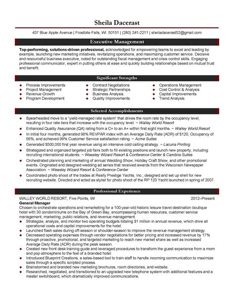 executive director resume  profit service project manager resume