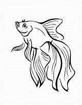 Fish Outlines Clipart Drawing Realistic Cartoon Children Library Coloring sketch template