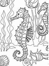 Coloring Pages Dover Publications Sea Under Popular sketch template