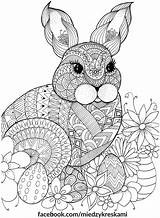 Coloring Pages Adult Mandala Easter Sheets Colouring Rabbit Bunny Spring Color Bunnies Kids Mindfulness Animals Adults Między Books Book Animal sketch template