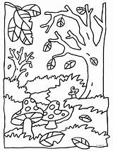Herfst Kleurplaten Automne Paddestoel Paddestoelen Eekhoorn Toamna Maternelle Bos Peisaje Dieren Colorat Desene Kleuren Uitprinten sketch template