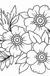 Anemone Blume Japanische sketch template