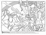 Coloring Pages Habitat Animal Rainforest Camouflage Amazon Color Drawing Animals Forest Sheets Habitats Counts Printable Spring Getdrawings Getcolorings Blooming Colorings sketch template