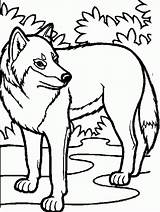 Loup Lobo Colorier Colouring Coloringhome Bestappsforkids Coloriages Clipartbest Wolfs sketch template