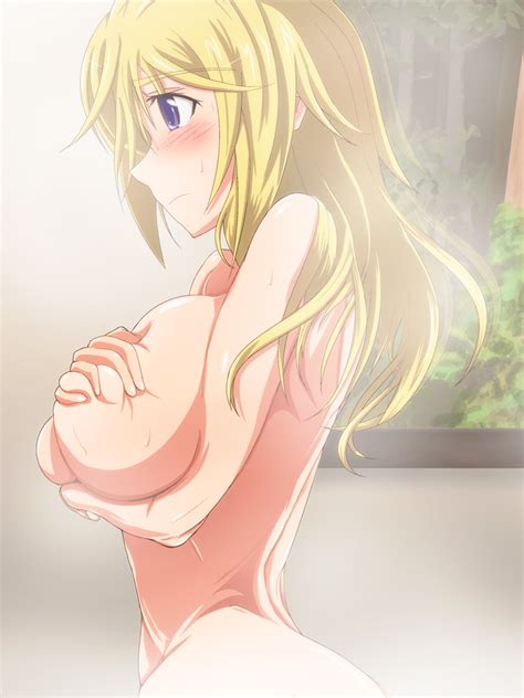 rule 34 charlotte dunois infinite stratos tagme 809535